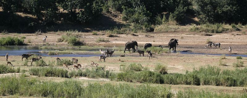 File:Letaba River - South Africa 2008.jpg