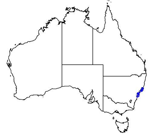 File:Meridolum middenense map.png