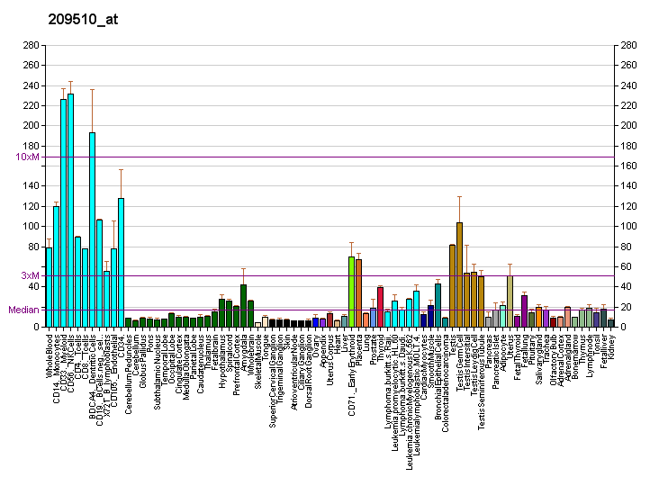 File:PBB GE RNF139 209510 at fs.png