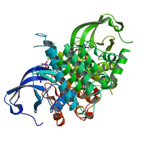 File:PBB Protein RET image.jpg