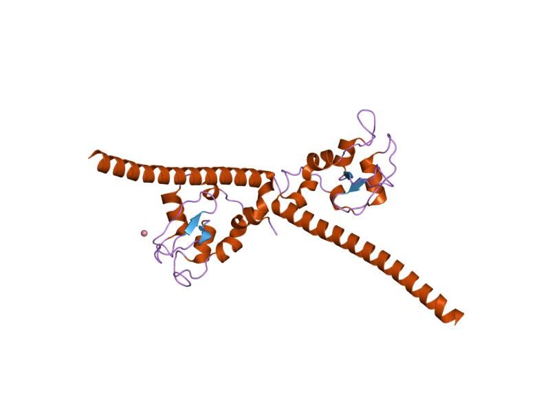 File:PDB 1e31 EBI.jpg