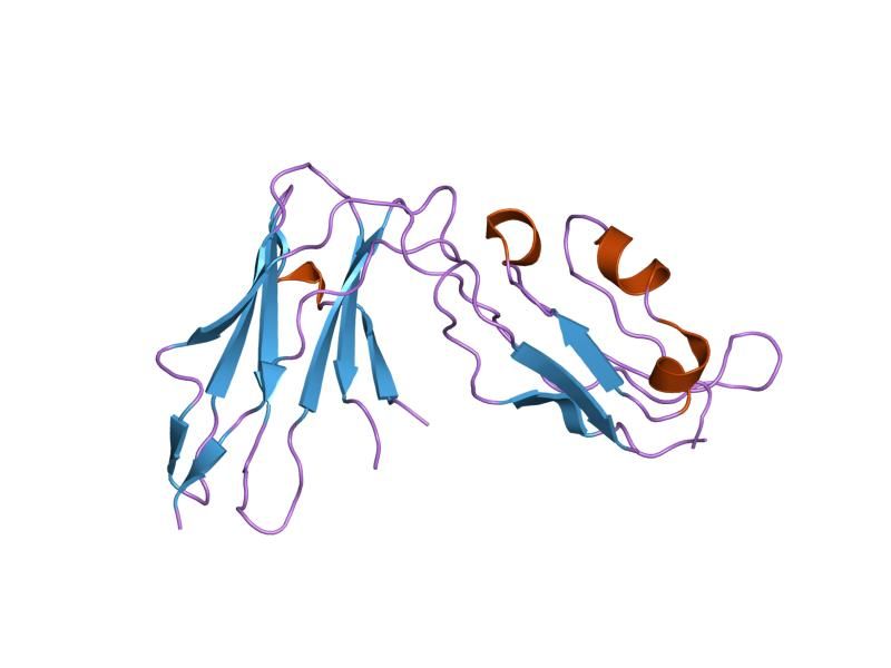 File:PDB 1g0x EBI.jpg