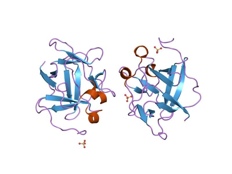 File:PDB 1jt3 EBI.jpg