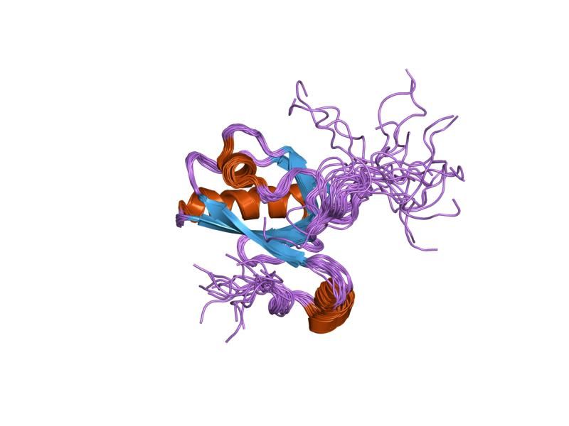 File:PDB 1v6b EBI.jpg