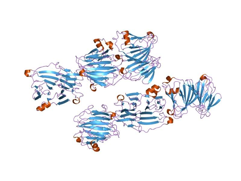 File:PDB 1ywk EBI.jpg