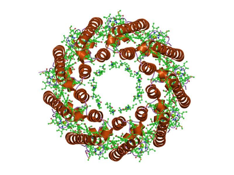 File:PDB 2fkw EBI.jpg