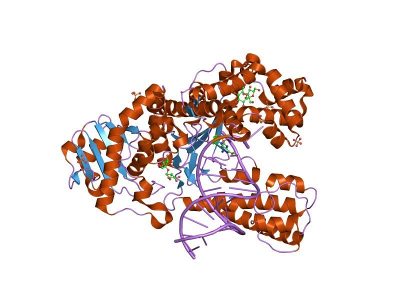 File:PDB 2hht EBI.jpg