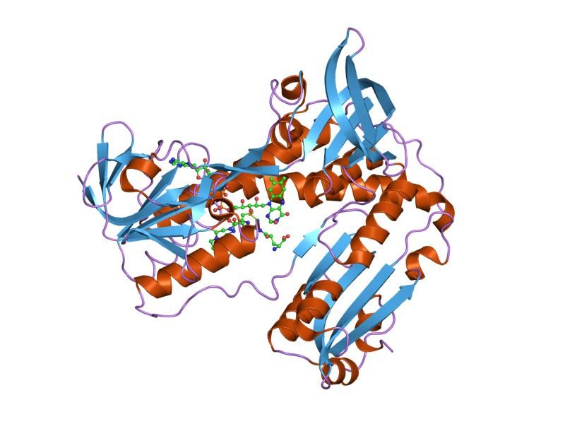 File:PDB 3grt EBI.jpg