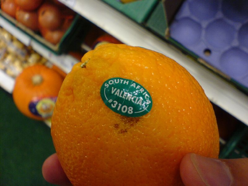 File:Valenciaorange.jpg