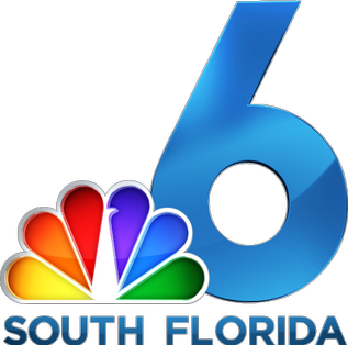 File:WTVJ 2009 Logo.png