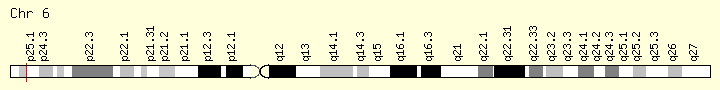 File:C6orf201-gene.png