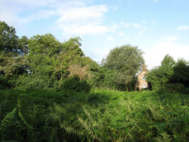 File:Ditchling Common - geograph.org.uk - 1462153.jpg