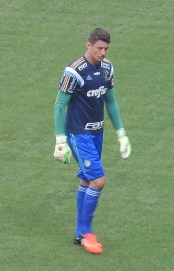 File:Fabio-palmeiras-nov2015.png