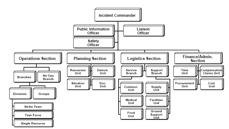 File:ICS Structure.PNG