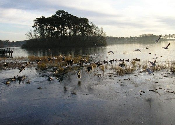 File:Monikie reservoir - geograph.org.uk - 679988.jpg