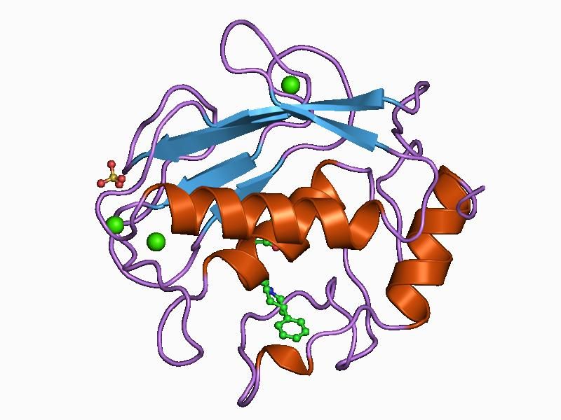 File:PDB 1caq EBI.jpg