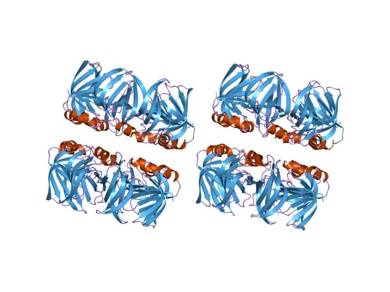 File:PDB 1h64 EBI.jpg