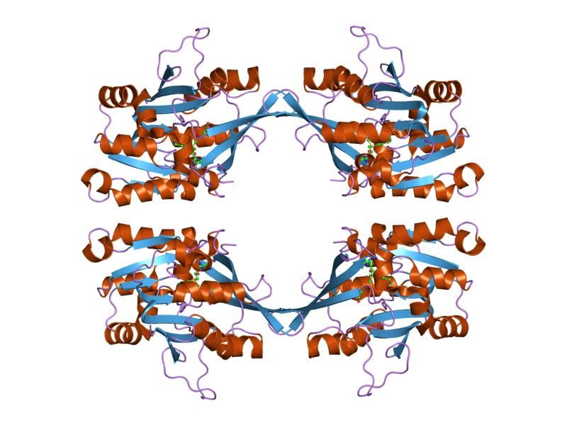 File:PDB 1kia EBI.jpg