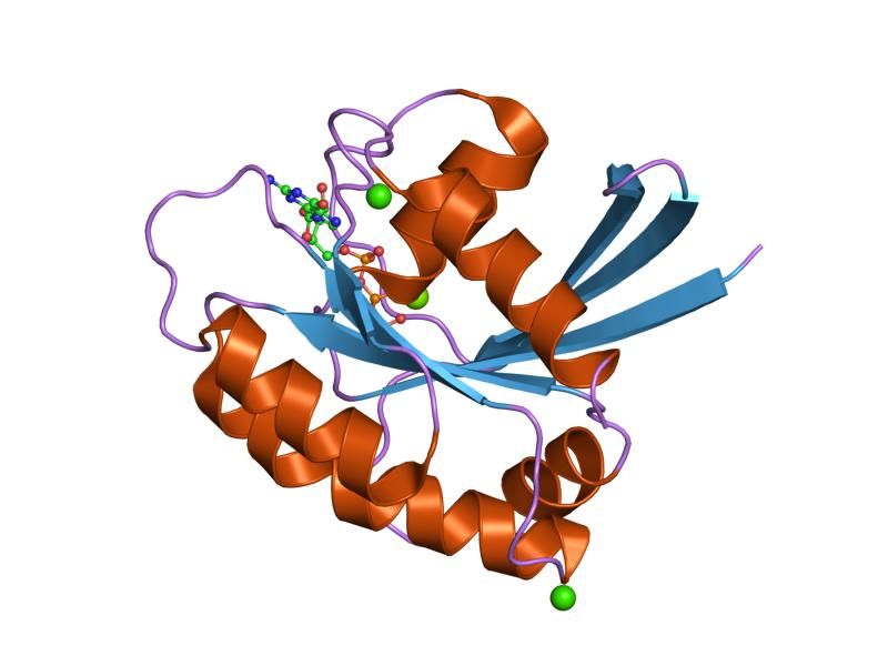 File:PDB 1lf0 EBI.jpg