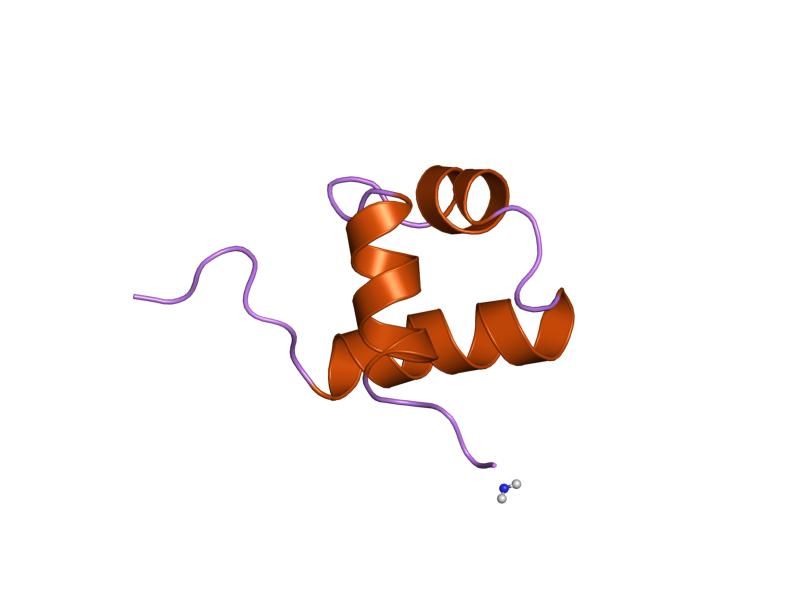 File:PDB 1mbe EBI.jpg