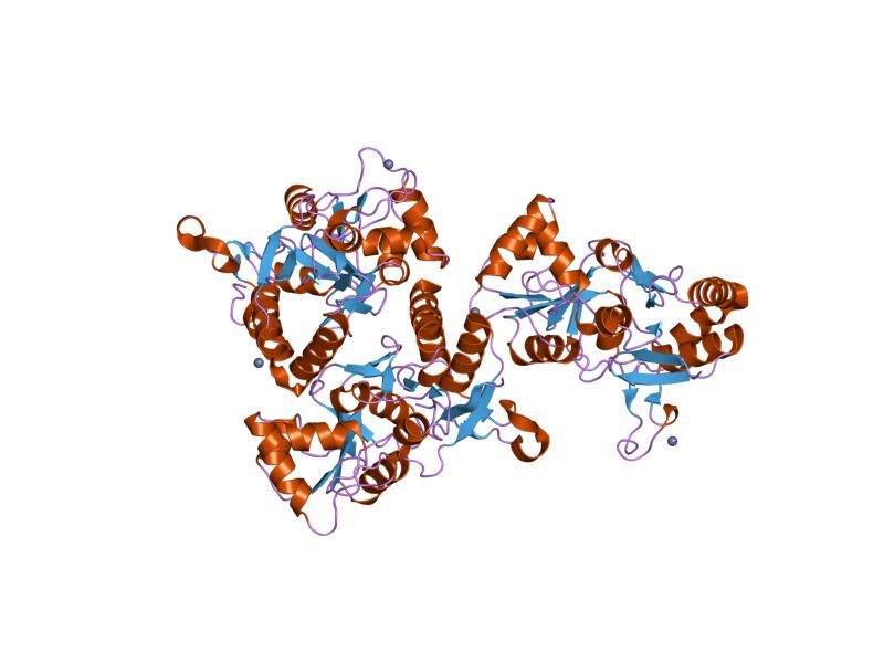 File:PDB 1my1 EBI.jpg