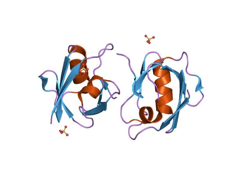 File:PDB 1oby EBI.jpg