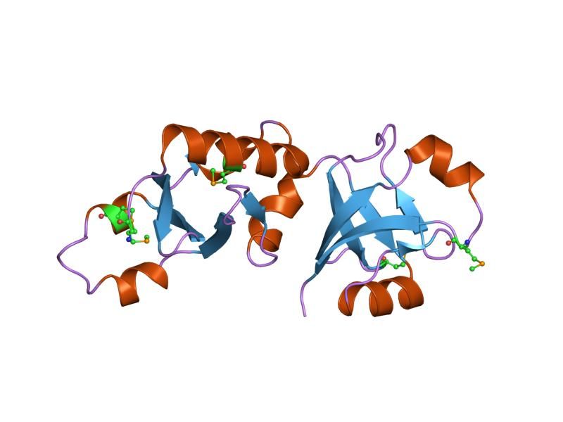 File:PDB 1t5y EBI.jpg