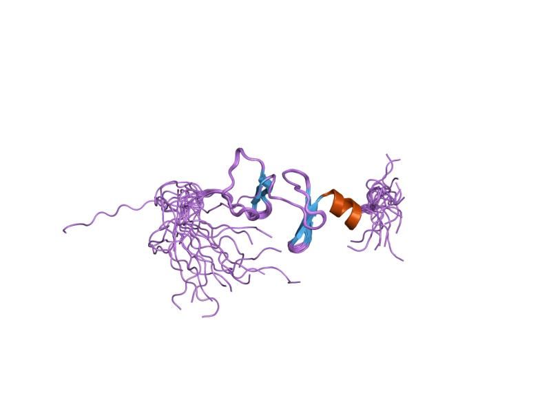 File:PDB 1x63 EBI.jpg