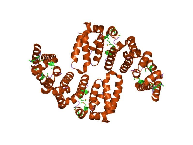 File:PDB 1xqr EBI.jpg