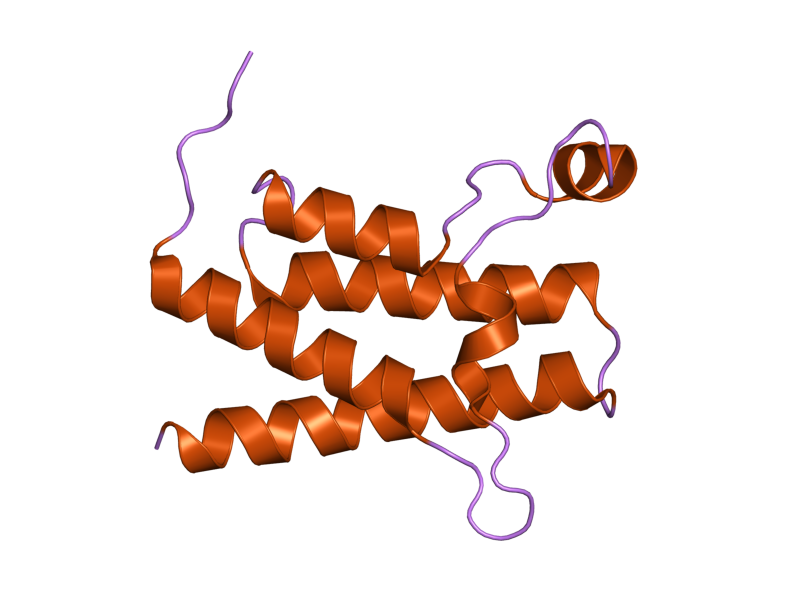 File:PDB 2grc EBI.png