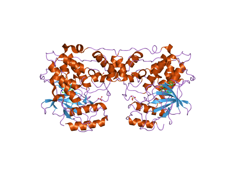 File:PDB 2no3 EBI.png