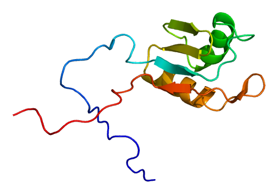 File:Protein RALY PDB 1wf1.png