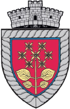 File:ROU MS Sanger CoA.PNG