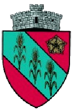 File:ROU SV Darmanesti CoA.png