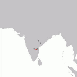 File:Rhinoptilus bitorquatus range.png