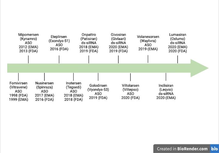 File:Timeline of ncRNA therapeutics.jpg