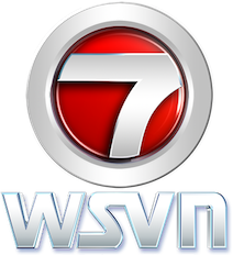 File:WSVN 7 Miami logo.png