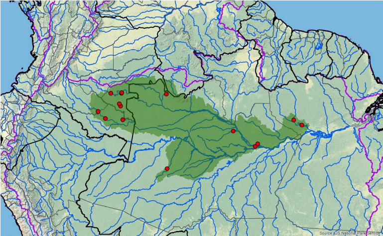 File:Captura de tela 2023-11-17 210950.png