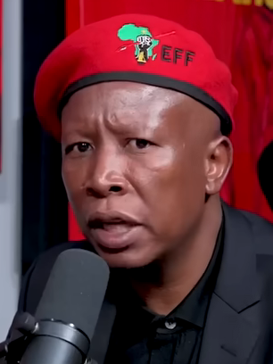 File:Julius Malema, November 2024 (headshot).png