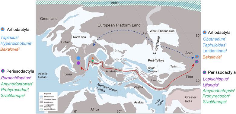 File:Middle Eocene Paleogeography Tethys Dispersals.jpg