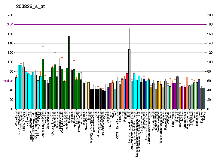 File:PBB GE PITPNM1 203826 s at fs.png