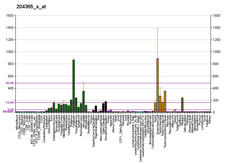 File:PBB GE REEP1 204365 s at fs.png