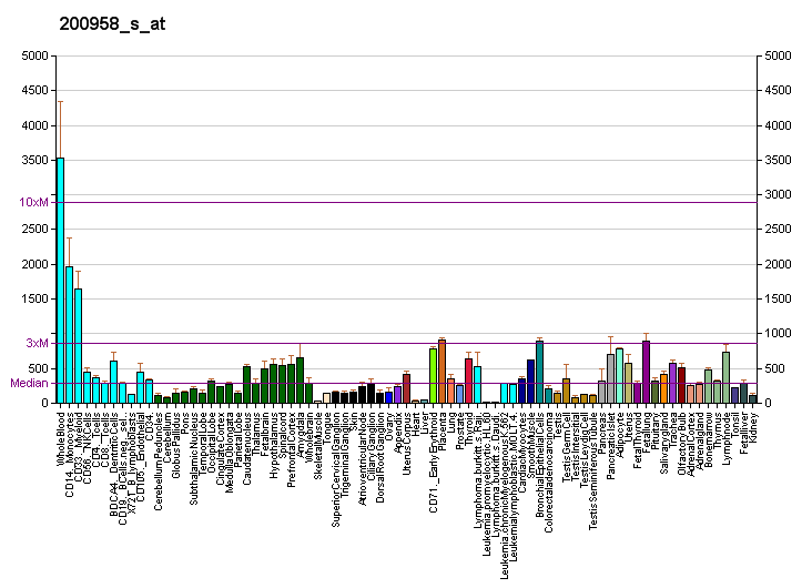 File:PBB GE SDCBP 200958 s at fs.png