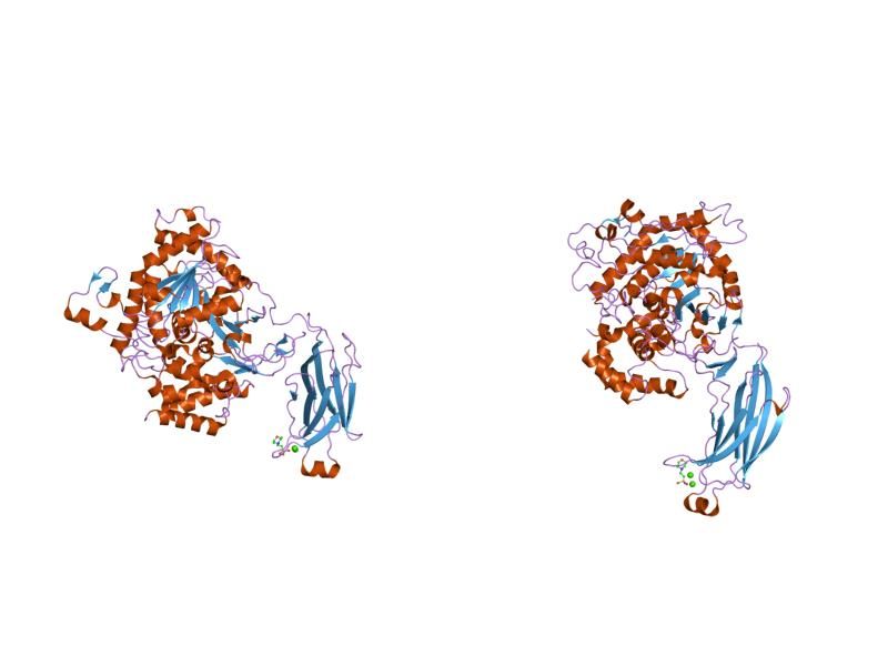 File:PDB 1cjy EBI.jpg