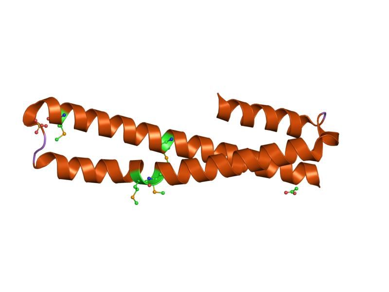 File:PDB 1h7c EBI.jpg