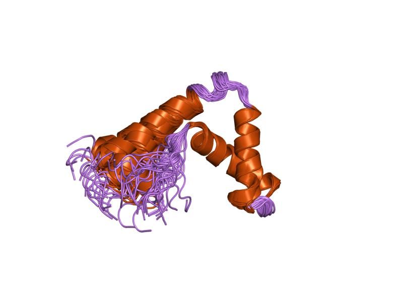 File:PDB 1i11 EBI.jpg