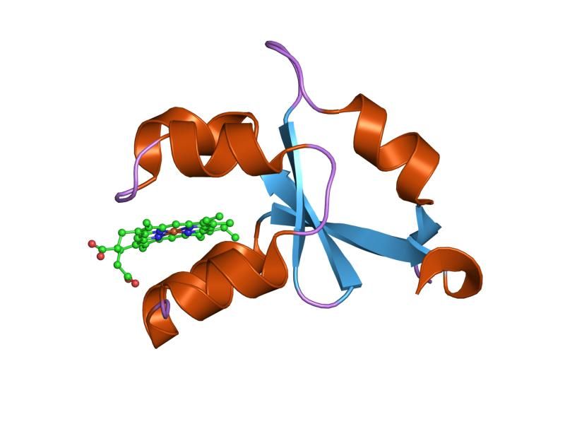 File:PDB 1lqx EBI.jpg