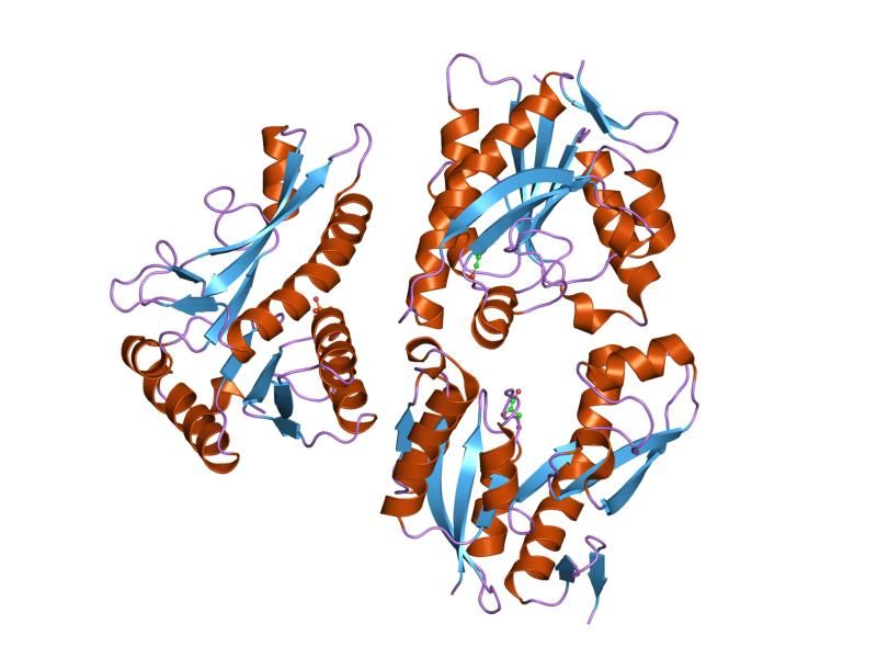 File:PDB 1mej EBI.jpg