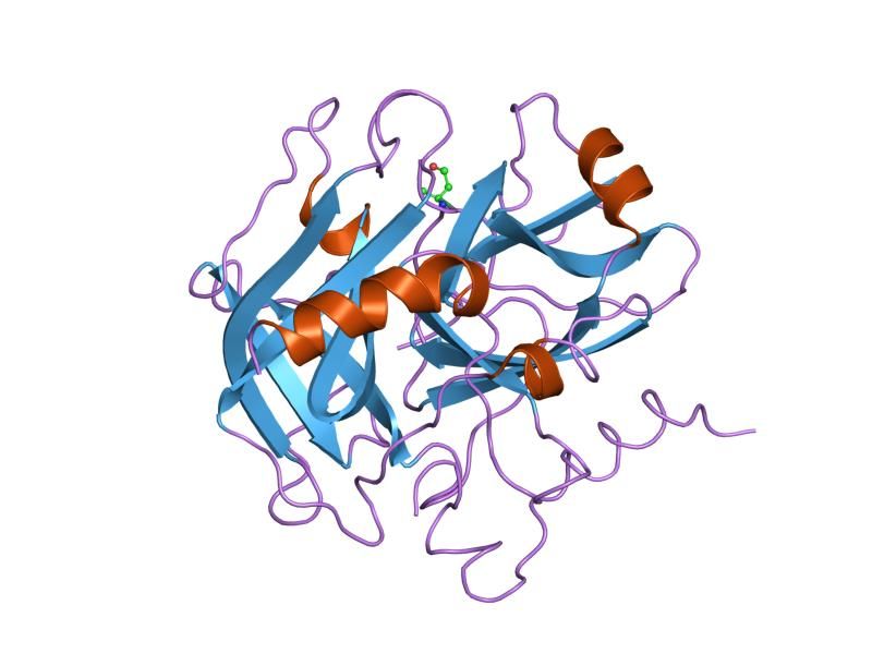 File:PDB 1nrp EBI.jpg