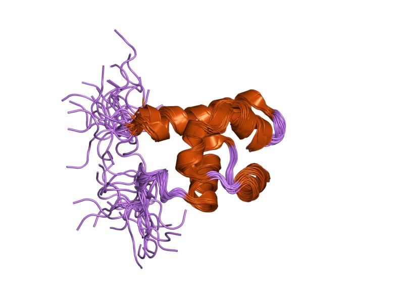 File:PDB 1uqv EBI.jpg